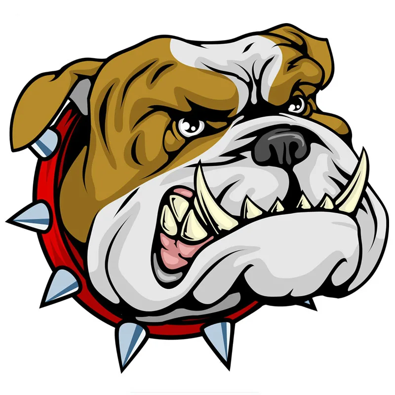 Pet Portrait Custom - New Design Hot Sell Super Angry