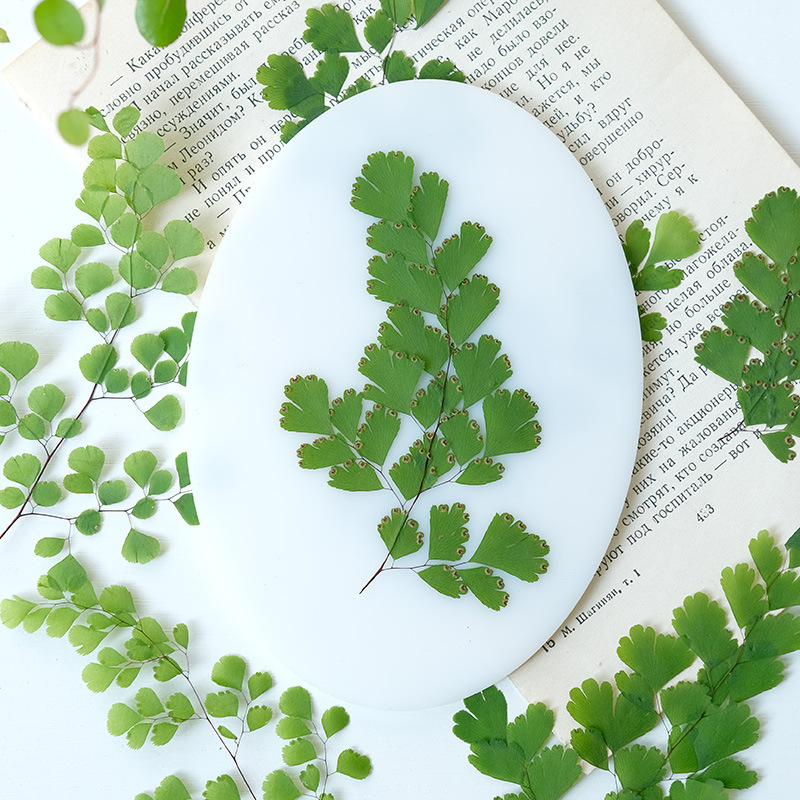 Dried Flower Bookmark - 60Pcs Natural Plant Real Flower Pressed
