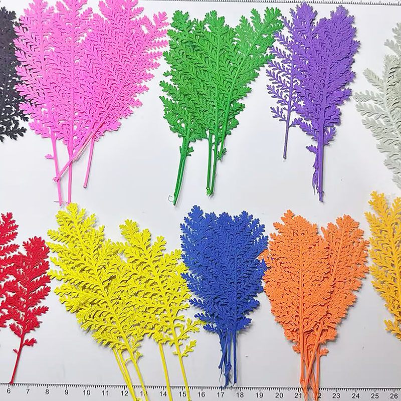Dried Flower Bookmark - 100Pcs Natural Silver Feather Leaves Dyed