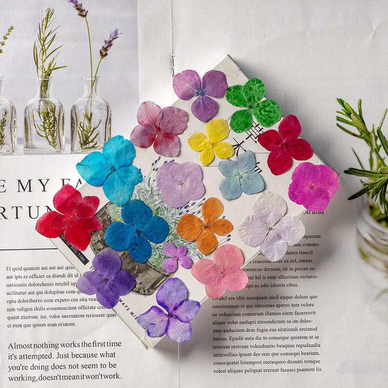 60Pcs Anna Hydrangea Color-Abs - Dried Flower Bookmark recension och pris