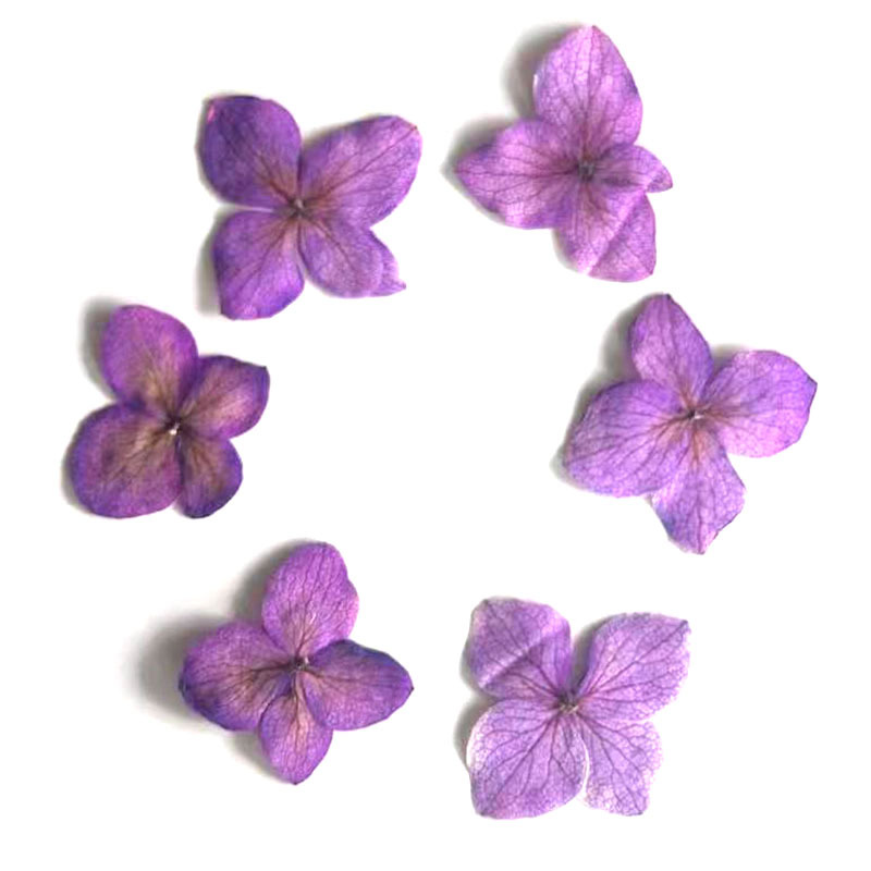 60Pcs Anna Hydrangea Color-Abs - Dried Flower Bookmark recension och pris