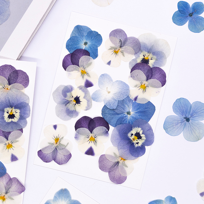 12pcs,Real Viola Cornuta Press - Dried Flower Bookmark recension och pris