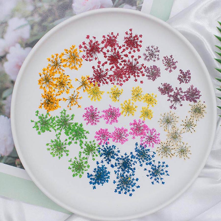 60pcs Pressed Dried 15-20mm Am - Dried Flower Bookmark recension och pris