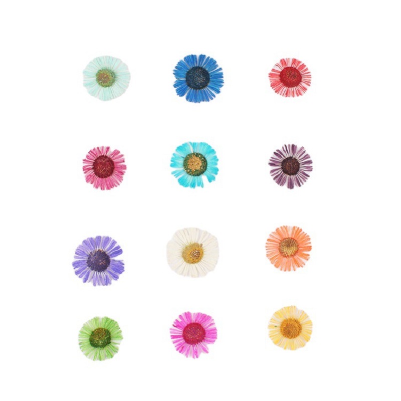 1 Set Pressed Dried Flower Eri - Dried Flower Bookmark recension och pris