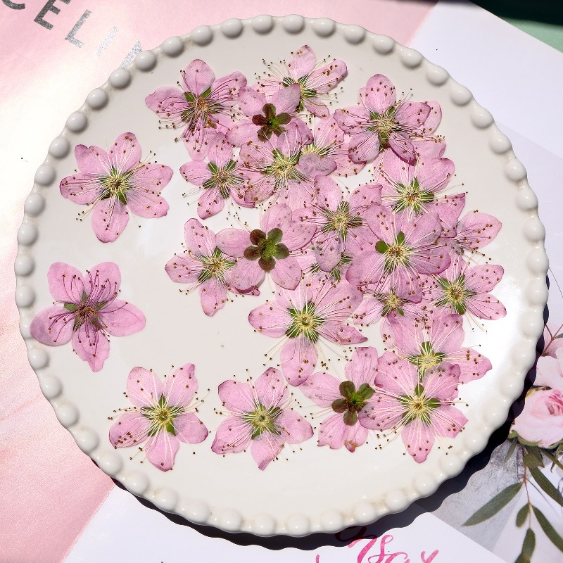 3-4cm./6pcs,Pink Peach Blossom - Dried Flower Bookmark recension och pris