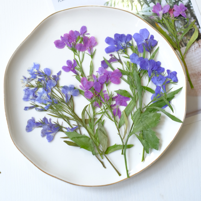 6pcs/8-13cm,nature Lobelia Eri - Dried Flower Bookmark recension och pris