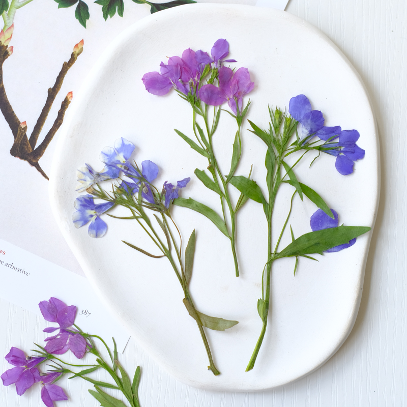 6pcs/8-13cm,nature Lobelia Eri - Dried Flower Bookmark recension och pris