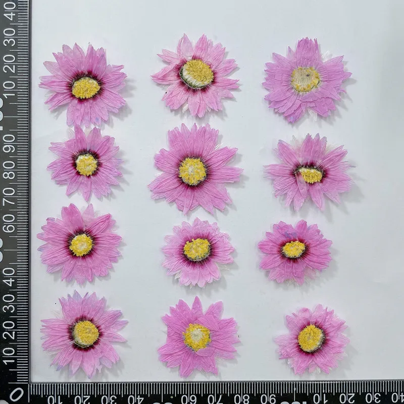 24pcs/2-4CM,Natural Pressed Fl - Dried Flower Bookmark recension och pris