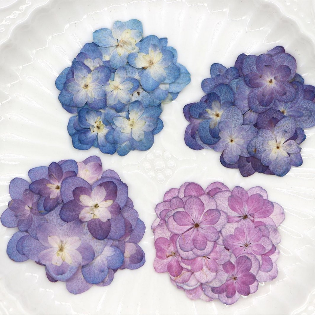 60Pcs Mini Double-Flowered Hyd - Dried Flower Bookmark recension och pris