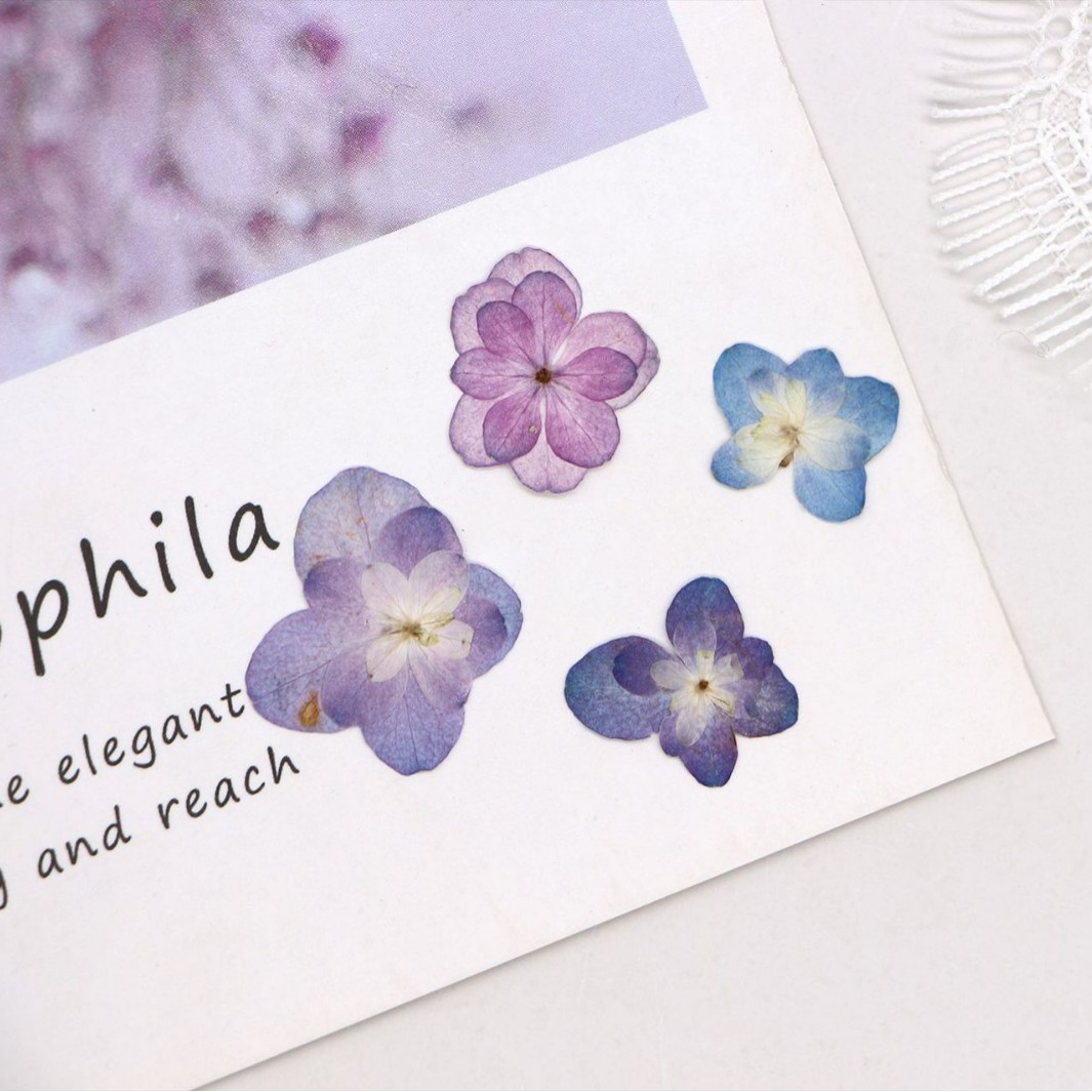 60Pcs Mini Double-Flowered Hyd - Dried Flower Bookmark recension och pris
