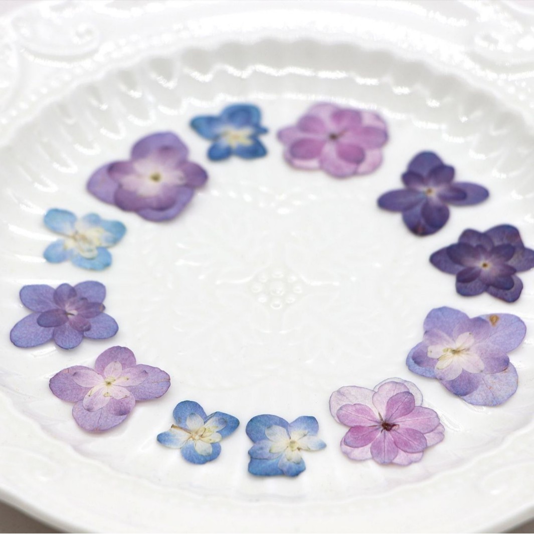 60Pcs Mini Double-Flowered Hyd - Dried Flower Bookmark recension och pris