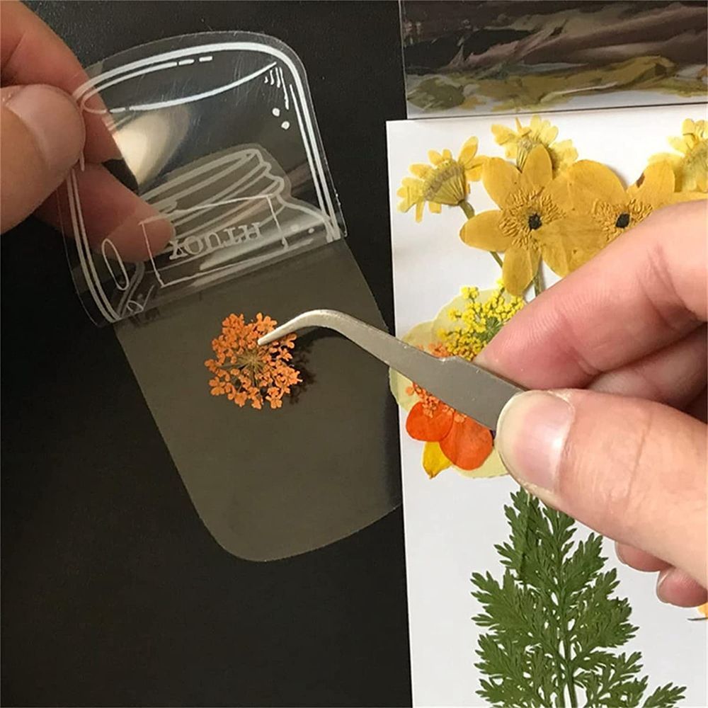 30Pcs Transparent Dried Flower - Dried Flower Bookmark recension och pris